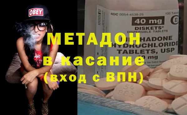 стаф Аркадак