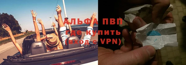 стаф Аркадак