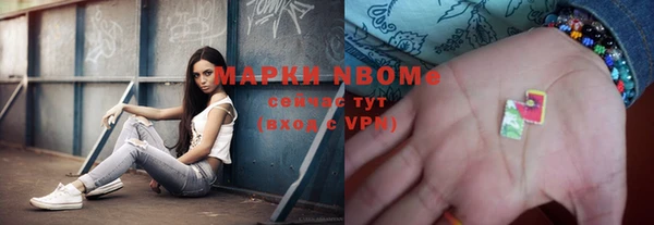 стаф Аркадак