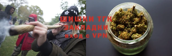 стаф Аркадак