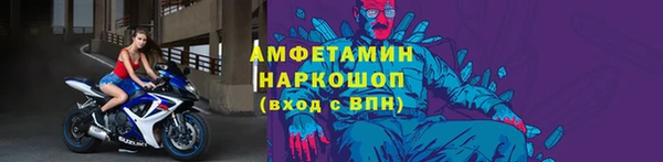 стаф Аркадак
