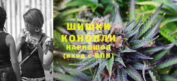 стаф Аркадак