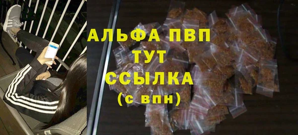 стаф Аркадак