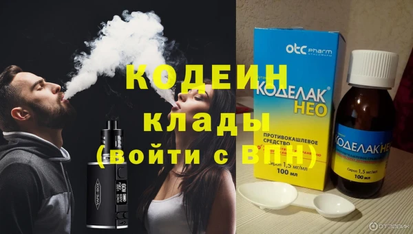 стаф Аркадак