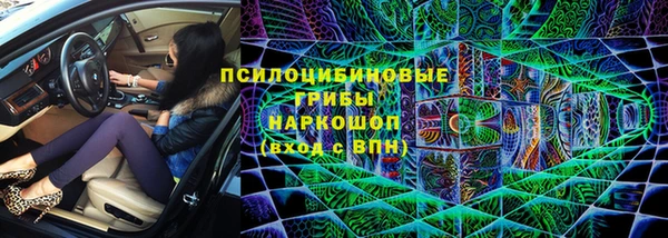 спайс Алексин