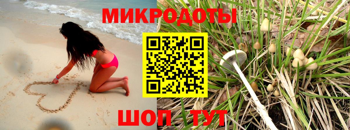 Псилоцибиновые грибы Psilocybe  Галлюциногенные грибы Psilocybe  Вход с VPN  Солнечногорск 