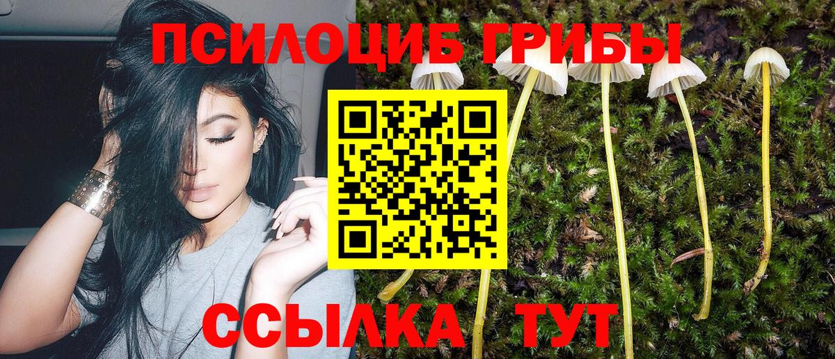 Галлюциногенные грибы Psilocybe  Вход с VPN  купить наркотики сайты  Солнечногорск 